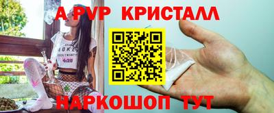 скорость Донской