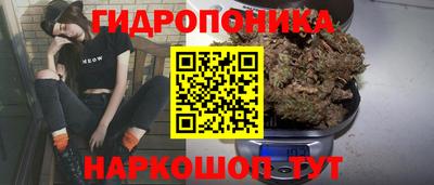 ECSTASY Заводоуковск