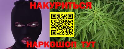 стаф Дубна