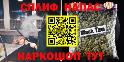 стаф Дубна