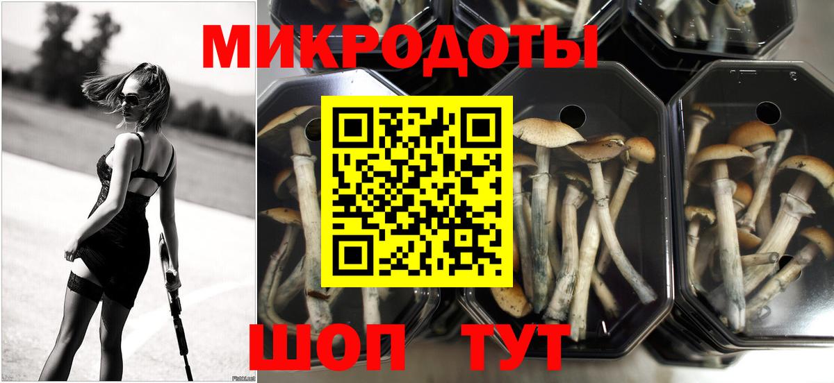 Майский  Псилоцибиновые грибы Magic Shrooms  Галлюциногенные грибы GOLDEN TEACHER  Вход с VPN 
