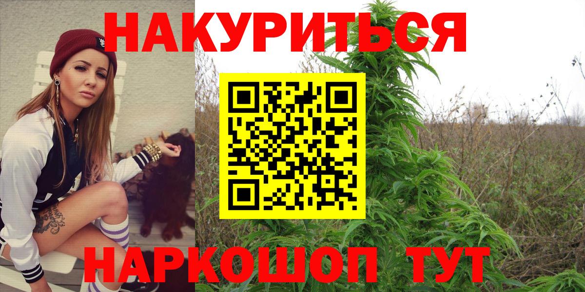 Конопля ГИДРОПОН  Марихуана конопля  Майский  Вход с VPN 